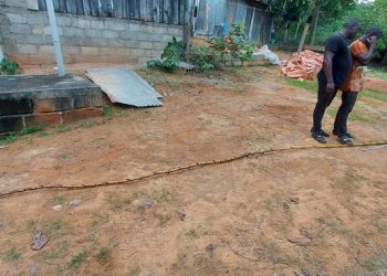 une très longue canne à sucre découverte à Fougamou