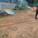 une très longue canne à sucre découverte à Fougamou