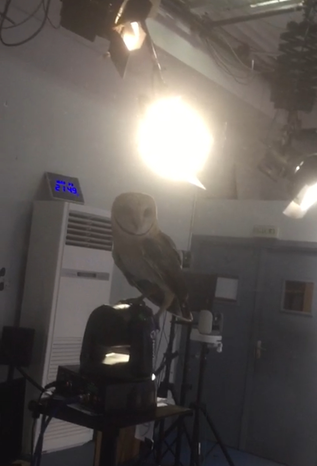 La chouette en pleine visite du studio d'enregistrement du journal de Gabon 24
