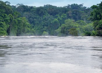 Deux fillettes et leur.oncle sont décédés dans ma Ngounié