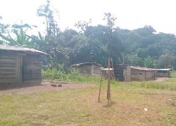 Le village Nzingui dans lequel vivait Alphonse Mayama décédé en forêt