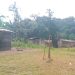 Le village Nzingui dans lequel vivait Alphonse Mayama décédé en forêt