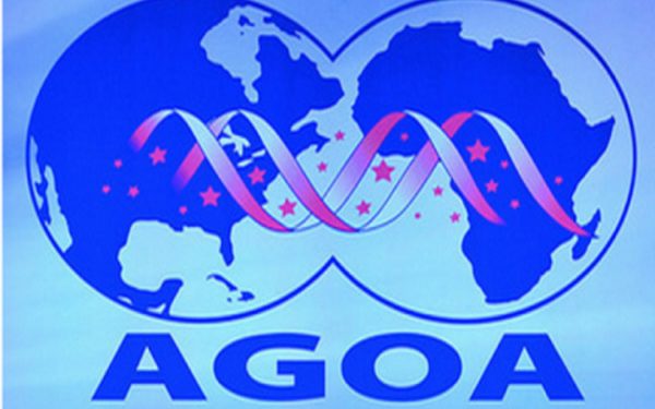 trois pays d'Afrique ont été exclus de l'Agoa