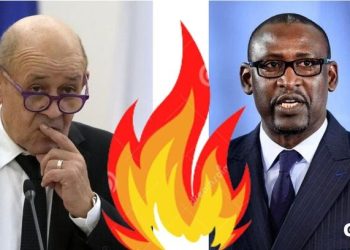 Jean Yves Le Drian, le ministre français des Affaires étrangères et son homologue malien , M. Abdoulaye Diop, le malien a annoncé à l'ambassadeur français de quitter le pays
