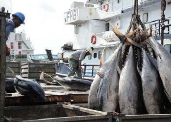 Accord pêche Gabon UE effectif en 2022