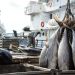 Accord pêche Gabon UE effectif en 2022