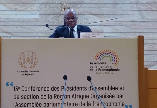 Le président Faustin Boukoubi a présidé la 13e conférence des présidents d'Assemblée et de section de la région Afrique de l'APF à Djibouti