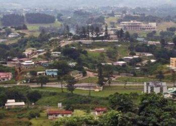 Le gouvernement va doter le Haut-Ogooué d'une zone économique spéciale