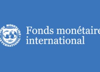 Une délégation du FMI est à Libreville ce 12 mai pour demander des comptes au gouvernement sur la gestion des fonds Covid alloués