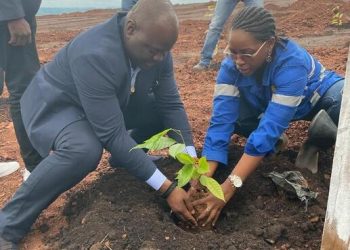 Le ministre des Mines Elvis Ossindji plantant un arbre lors de son tour du propriétaire à NGM à Franceville