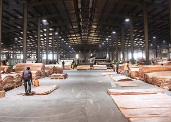 ZIS d’Ikolo : GSEZ dépose une étude d’impact environnemental