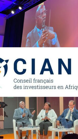 Quelques moments forts de l'intervention du ministre Yves Fernand Manfoumbi au sommet ACIAN