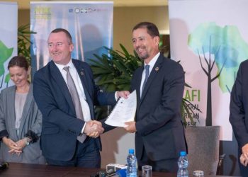 Le Gabon reçoit 100 millions de dollars ici de la part de CAFI pour la préservation de ses forêts