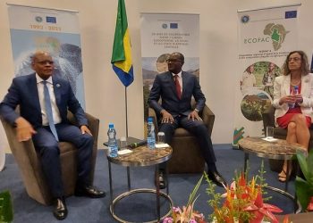 Les officiels lors des travaux du segment politique d'ECOFAC que NaturAfrica remplace désormais
