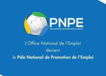 L'ONE devient PNPE, le nouveau logo
