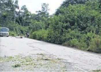 L'accident du grumier qui a tué Mesmin Ekomie Essame au village Mevang