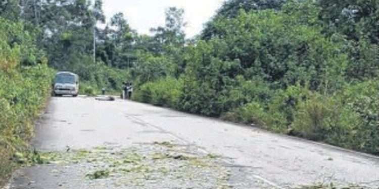 L'accident du grumier qui a tué Mesmin Ekomie Essame au village Mevang