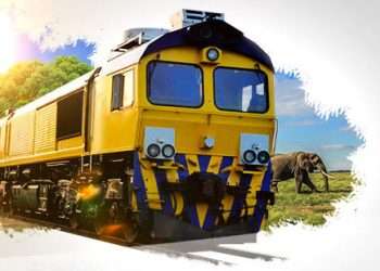 Reprise du trafic des trains