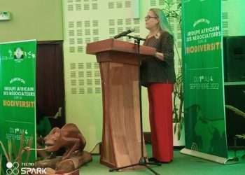 La Coordonnatrice du Système des Nations Unies Savina Ammassari à la réunion des négociateurs africains