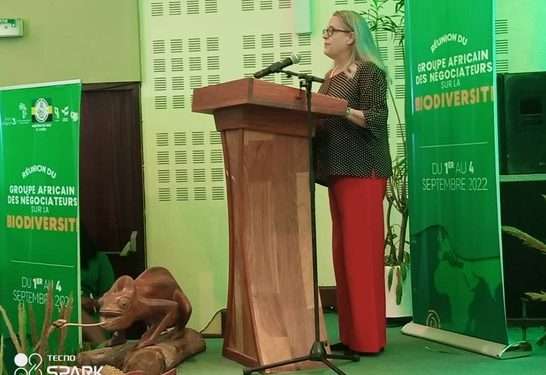 La Coordonnatrice du Système des Nations Unies Savina Ammassari à la réunion des négociateurs africains