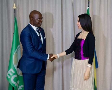 Le ministre du Commerce et des PME, Yves Fernand Manfoumbi et l'ambassadeur du Liban S.E Aline Younès