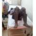 Ulrich Donald Moundanga tué par un éléphant à Mandji