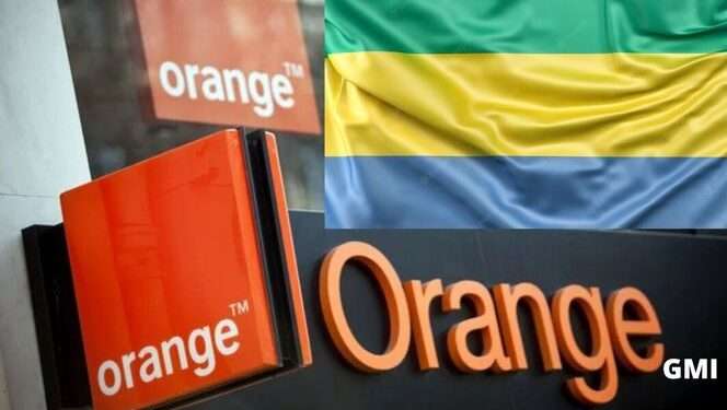 Les membres du Medef envisagent d'implanter la maison de téléphonie Orange au Gabon