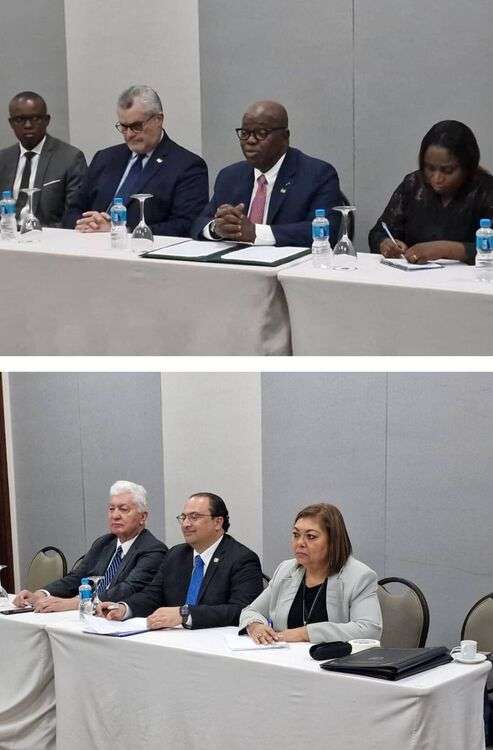 Les délégations du Gabon et du Guatemala 