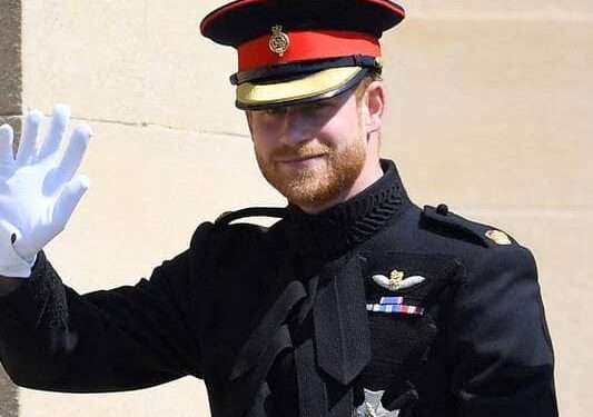 Le Prince Harry révèle avoir tué 25 personnes en Afrique