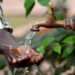 Distribution sélective d'eau à Ambowe par la SEEG
