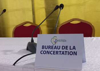 Le Président République devrait être élu parlementaires selon la majorité présidentielle