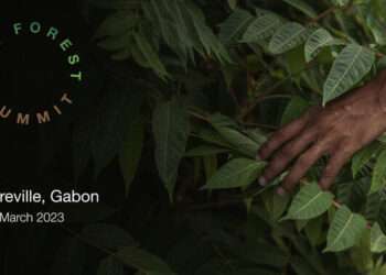 Libreville abrite le One forest summit du 1er au 2 mars 2023