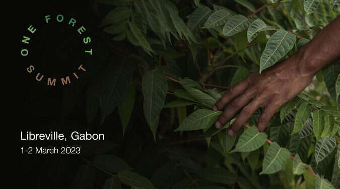 Libreville abrite le One forest summit du 1er au 2 mars 2023