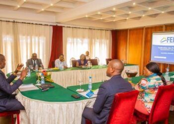 Fédération des Promoteurs immobiliers du Gabon
