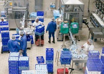 Agréments CEMAC Sigalli Chimie