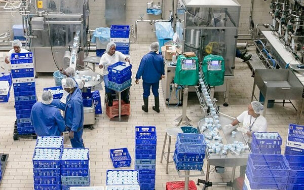 Agréments CEMAC Sigalli Chimie