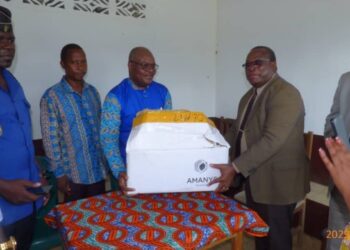 Olam Palm dans la Ngounié