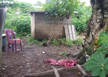 Lieu de la mort par pendaison de Maganga Steeve