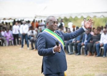 Jonathan Ignoumba démissionne du parti Les Démocrates @D.R