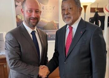 Jean Ping sénat français