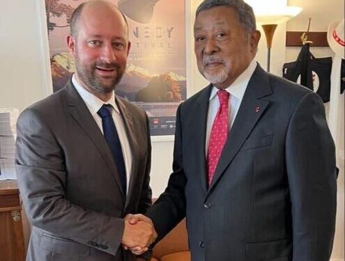 Jean Ping sénat français