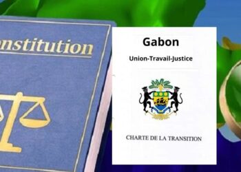 Constitution charte transition