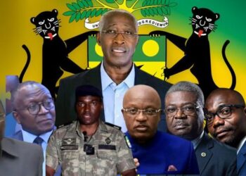 Gouvernement transition