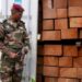 Kevazingo