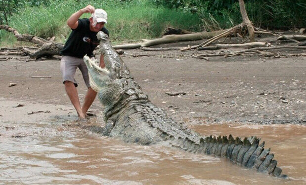 fermier gueule crocodile