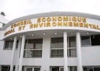 Conseil économique social environnemental