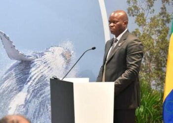 communauté gabonaise Dubaï