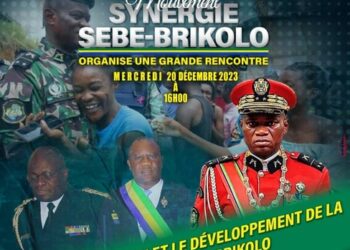 Mouvement Synergie Sébé-Brikolo