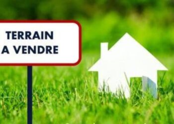 Foncier au Gabon: Rétropédalage du CTRI sur la vente de terrains aux non-nationaux, un coup dur pour la souveraineté territoriale