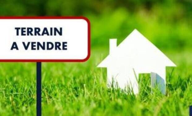 Foncier au Gabon: Rétropédalage du CTRI sur la vente de terrains aux non-nationaux, un coup dur pour la souveraineté territoriale